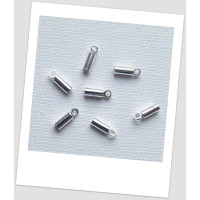 Концевик металлический для шнура, цвет - серебряный, 8 мм х 2,5 мм. , упаковка - 20 шт. (id:270067)